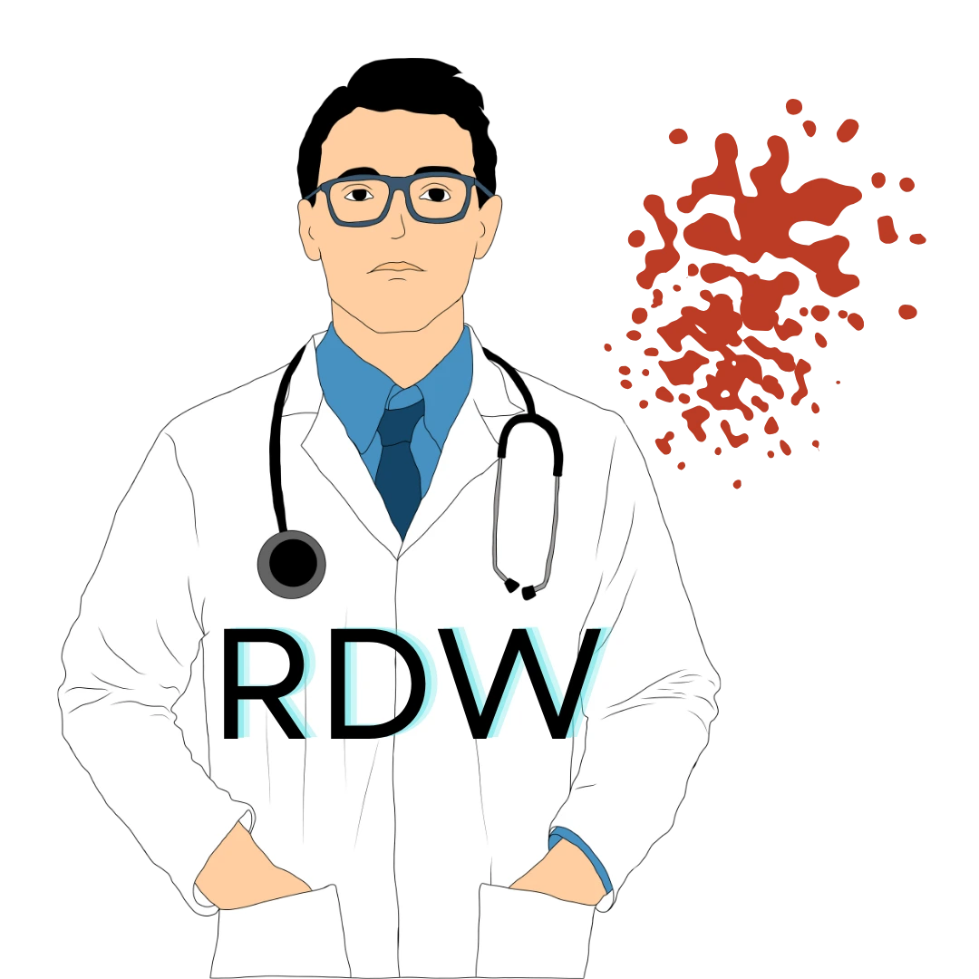 RDW Blood Test visual guide showing red blood cell distribution width